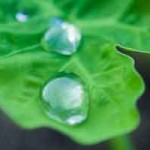 ピクニックの当日が雨だったら…関西で雨でも楽しめるスポットの紹介。