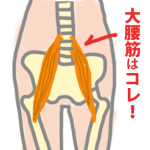 寝たきり老人になりたくなければ大腰筋を鍛えなさい~本の感想