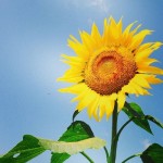 熱中症予防の水分補給、勘違いしていませんか!?