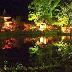 紅葉といえばライトアップ。関西の名所から穴場スポットまでご紹介