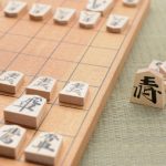 将棋の藤井4段(14歳)天才を作ったおもちゃとは?今買うには?